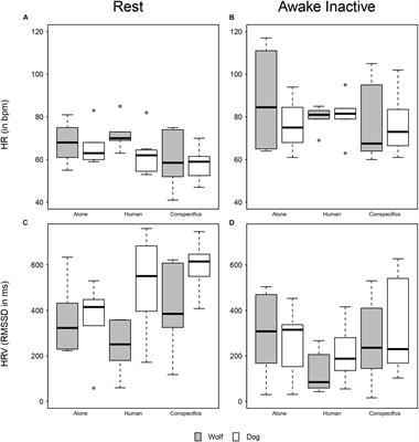 Context-Specific Arousal During Resting in Wolves and Dogs: Effects of Domestication?